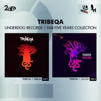 TRIBEQA