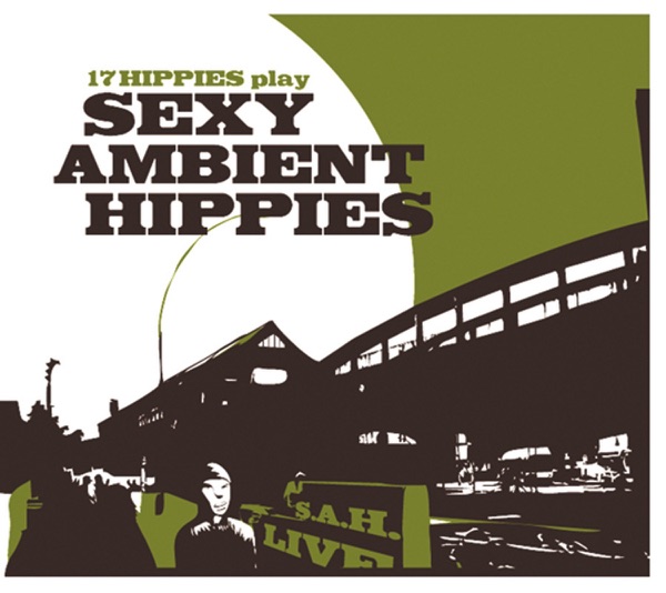 Sexy Ambient Hippies