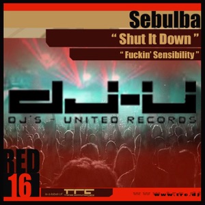 Shut It Down / F****n' Sensibility - Single