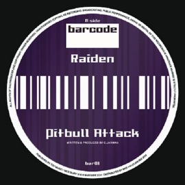 Pitbull Attack Raiden