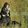 Dark Clad Company - EP - The Scarlet Furies
