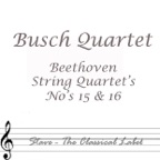String Quartet No. 15 In a Minor, Op. 132: I. Assai Sostenutto Allegro