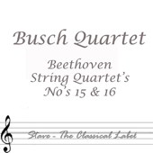 String Quartet No. 15 In a Minor, Op. 133: II. Allegro Ma Non Tanto