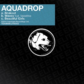 Waves (feat. Vanelitne) Aquadrop