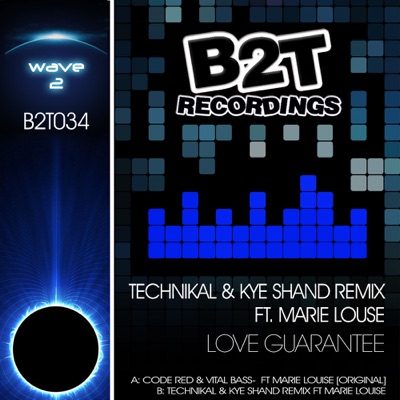 Love Guarantee (feat. Marie Louise) - Single