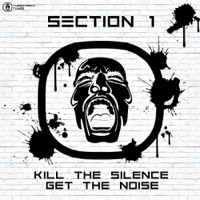 Kill The Silence Get The Noise - Section 1