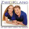 Zweiklang - Ich lach' dem Leben ins Gesicht (Radio Version)