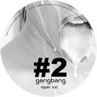 Viperxxl - B2 album artwork