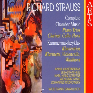 Romanze Für Die Clarinette Mit Begleitung Des Orchesters, Op. AV. 61