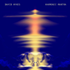 Harmonic Mantra - David Hykes new Song