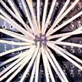 1000 Light Years