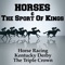 Horse Snort 7 - Pro Sound Effects Library lyrics