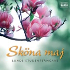 Sköna maj