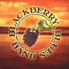 Blackberry Blues Band