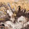 Devil’s Flower In Mother Winter