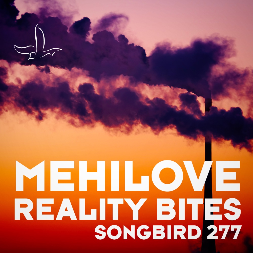 Обложка альбома «Reality Bites - Single» — MEHÍLOVE