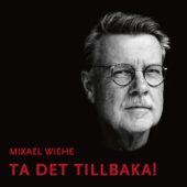 Den jag kunde va (Live) song art