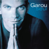 Je n'attendais que vous - Garou