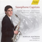 Saxophone Caprices artwork
