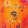 Split Lip Rayfield - Redneck Tailgate Dream