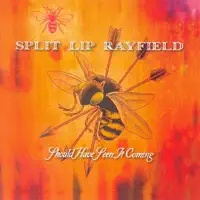 Redneck Tailgate Dream — Split Lip Rayfield