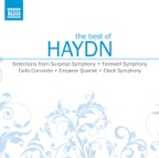 Symphony No. 100 in G Major "Military": Finale - Presto