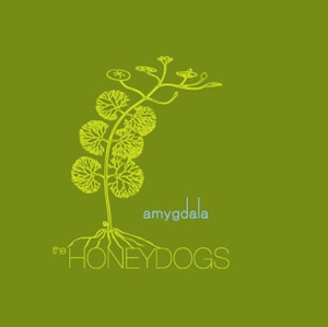 Amygdala