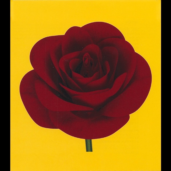 evergreen anniversary edition - 河村隆一のアルバム - Apple Music