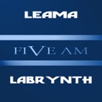 Labrynth (Orkidea Remix Edit)