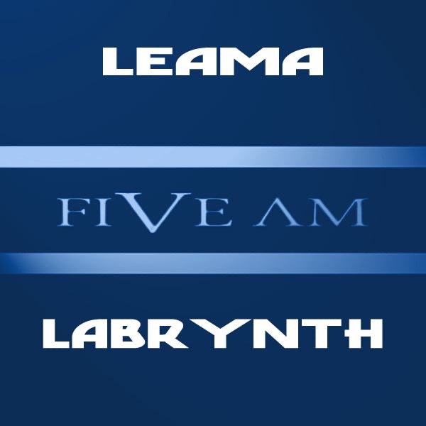Leama — Labrynth (Orkidea remix) cover art