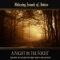 A Night In the Forest (Nature Sounds) - Sounds of Nature for Deep Sleep and Relaxation lyrics