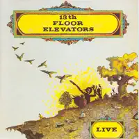 Before You Accuse Me — 13th Floor Elevators
