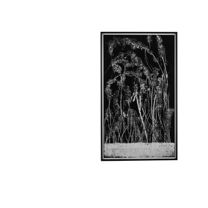 Deep Summer Hole - Single