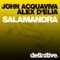 Salamandra - John Acquaviva & Alex D'Elia lyrics