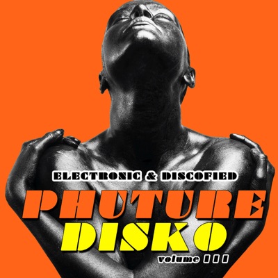 Phuture Disko Vol. 3 - Electronic & Discofied