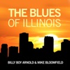 The Blues of Illinois, 2008