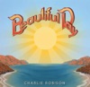 Charlie Robison