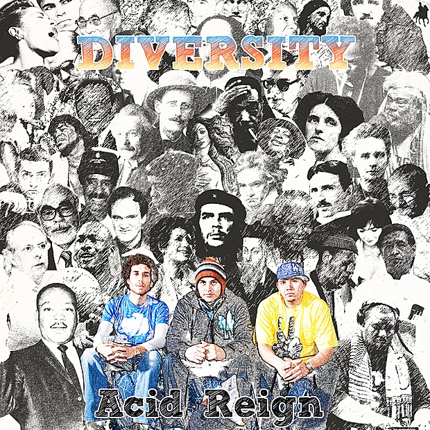 Обложка альбома «Diversity (feat. Gajah & Beond)» — Acid Reign