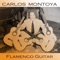 Levante - Carlos Montoya lyrics