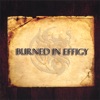 Burned In Effigy