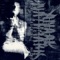 Anaal Nathrakh - Anaal Nathrakh lyrics