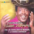 los corraleros de majagual