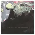 Peter Wolf Crier