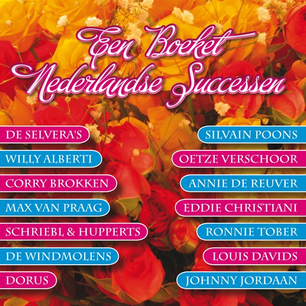Een boeket Nederlandse Successen