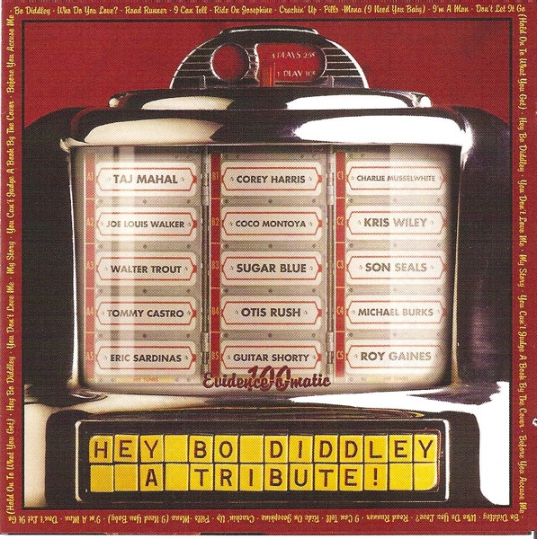 Hey Bo Diddley - A Tribute!
