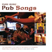 Pure Irish Pub Songs artwork