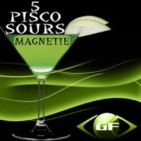 5 Pisco Sours - Single - MAGNETIE