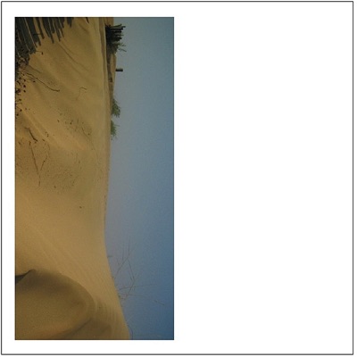 Doves Days In Palermo