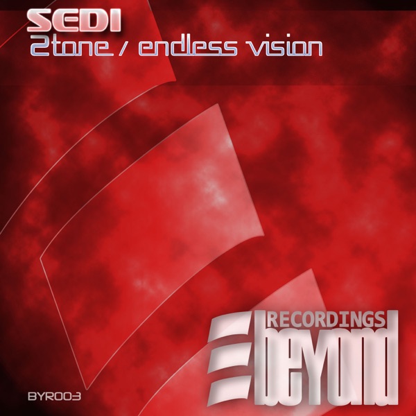 2Tone / Endless Vision - Single