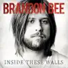 Brandon Bee - Radiant Sun (Give Thanks to the One)